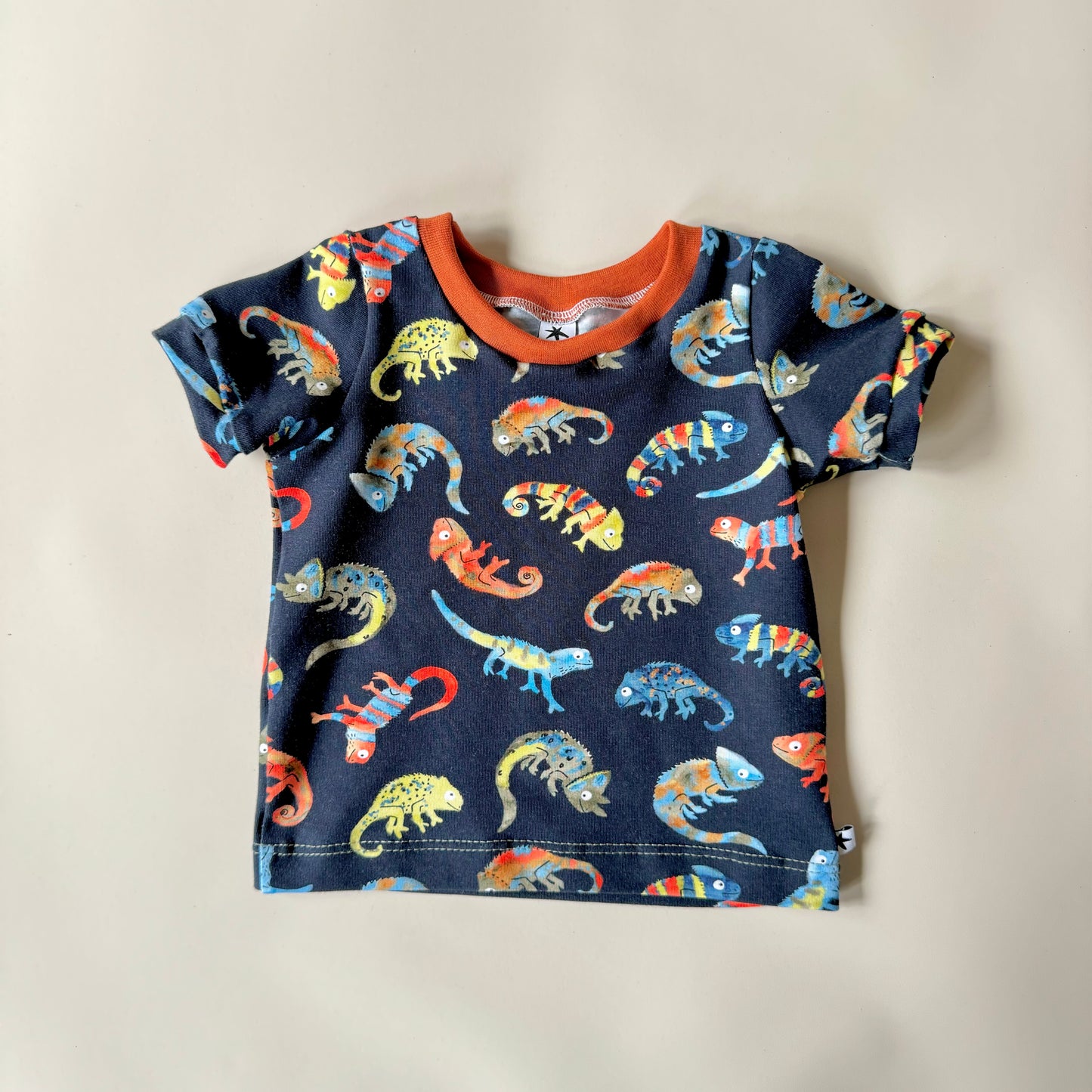 Chameleon T-shirt - Long or Short Sleeve